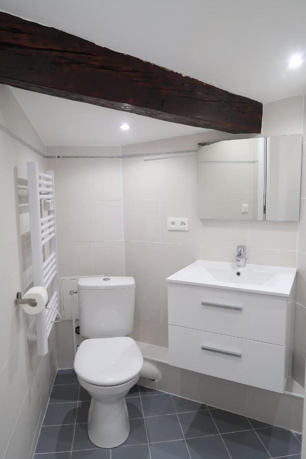 La Terrasse De Wilson Apartment Тулуза Екстериор снимка